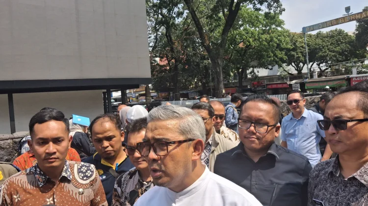 Farhan Murka, 10 Pohon di Jalan Riau Bandung Ditebang Ilegal