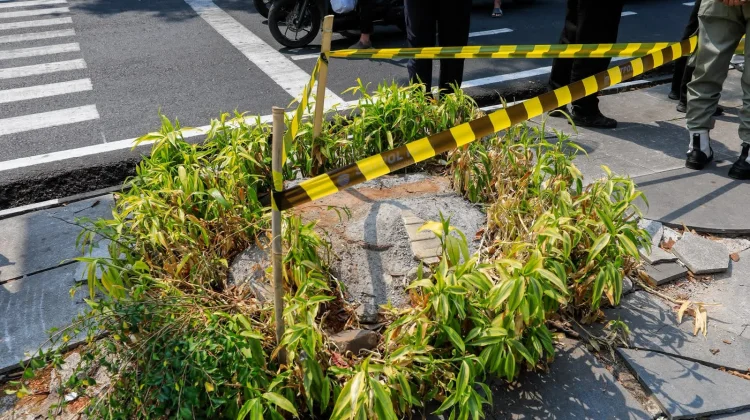 Pemkot Bandung Perketat Pengawasan Penebangan Pohon