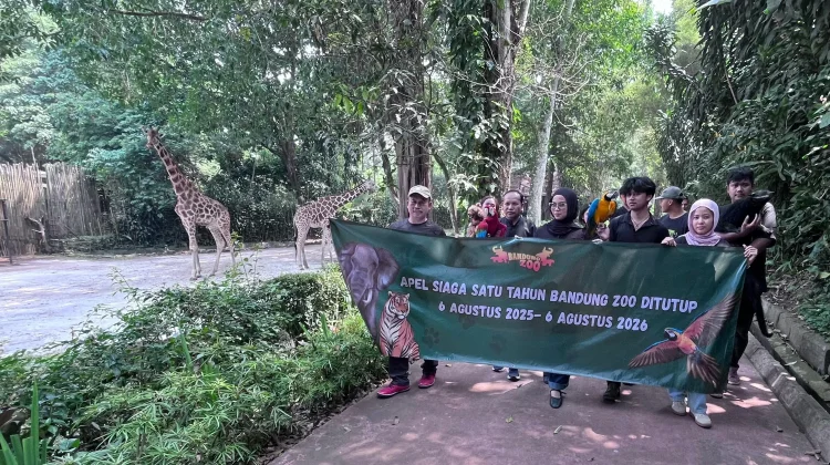 120 Karyawan Lama Dipertahankan, Perawatan 600 Satwa Bandung Zoo Terus Berjalan