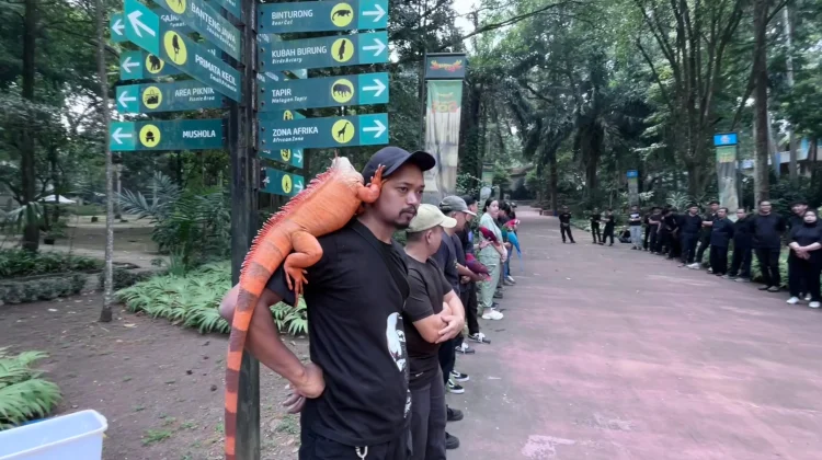Karyawan Bandung Zoo Gelar Apel Setahun Penutupan, Siap Sambut Pengelola Baru