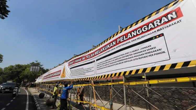Satpol PP Kota Bandung, Penanganan kasus Penebangan Pohon Ilegal