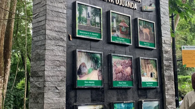 Hari Hutan Indonesia, Pengingat Keberlangsungan Hutan