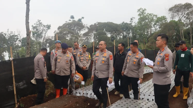 Sinergi Polri dan Petani, Lahan PTPN Ciater Diproyeksikan Ditanami Bawang Putih