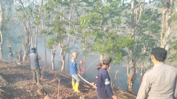 Hektaran Lahan Diduga dari Pembakaran Sampah Perkebunan Warga Terbakar