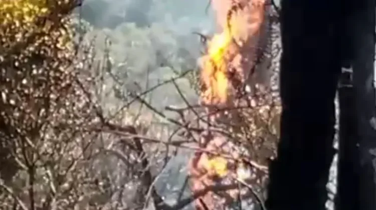 Kawasan Taman Nasional Gunung Gede Pangrango Masih Terpantau Ada Titik Api