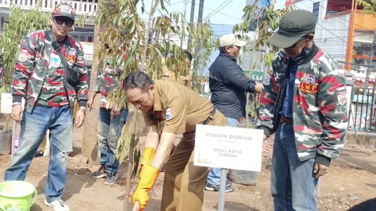 Bukan Sekadar Dipangkas, 25 Pohon Baru Disiapkan untuk Penghijauan RS Cibabat