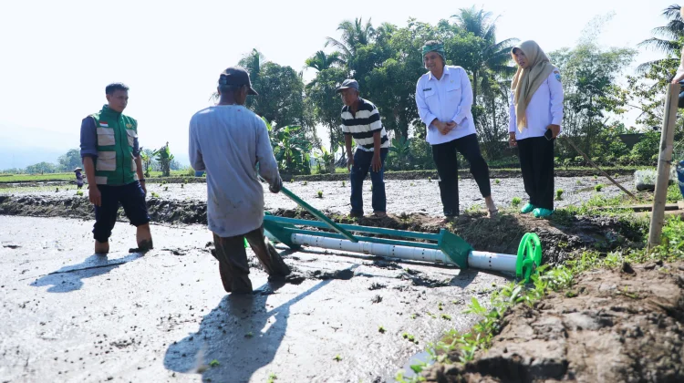 Kota Tasikmalaya Mulai Program Tanam Padi Sistem Modern, Diky : Terus Dimaksimalkan