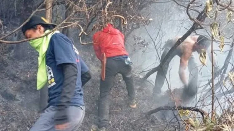 Asap Terpantau Kembali Muncul di Kawah Wadon