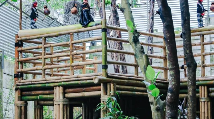 Farhan Selidiki Pohon Dikuliti dan Dibor, Pelaku Terancam Diproses Hukum