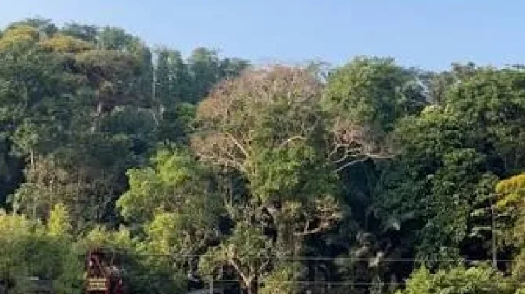 Situ Cipanten, Destinasi Wisata Menarik di Majalengka