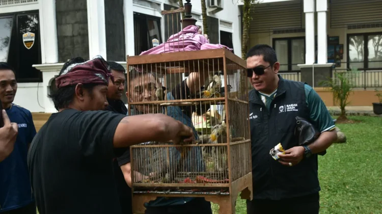 Puluhan Burung Kutilang dan Terucukan Dilepasliarkan di PPS Sumedang