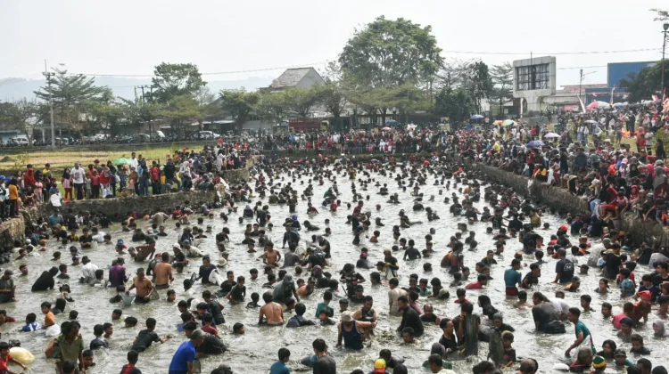 Kemeriahan Warga Turun ke Kolam Al Kamil untuk Ngagogo Ikan
