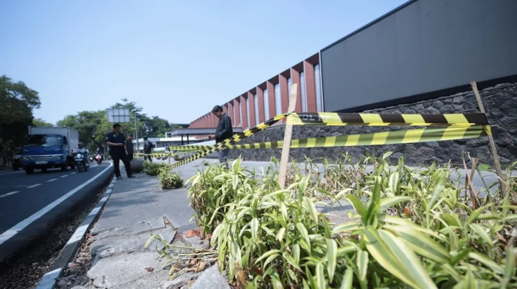 Pemkot Bandung Segera Tanam Kembali Pohon di Jalan R.E. Martadinata