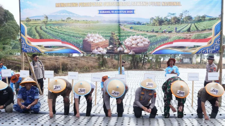 Polres Subang Dampingi Petani Ciater, Tanam Bawang Putih untuk Indonesia