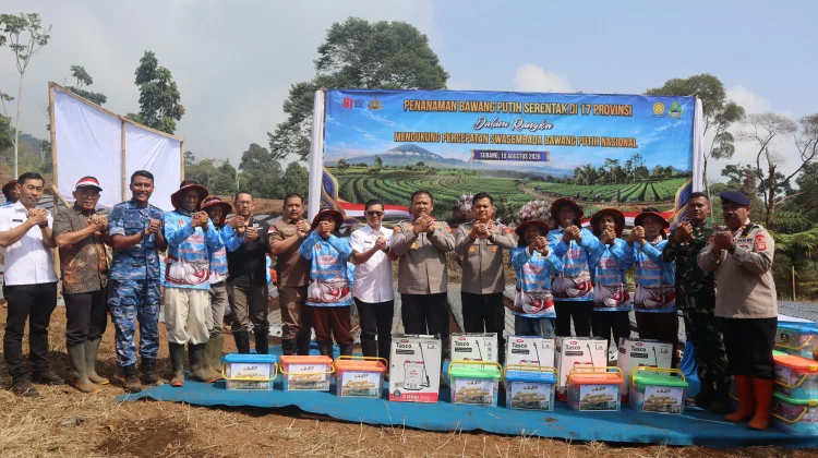 Subang Ikut Tanam Bawang Serentak di 17 Provinsi, Dukung Swasembada Pangan