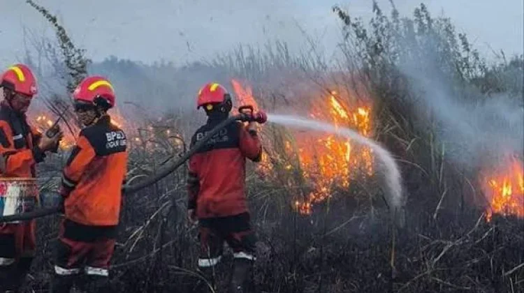 Tagana Subang Terlibat Tangani Karhutla dan Pemukiman Aelama Kemarau Panjang