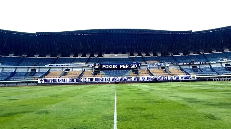 Persib Tak Main di GBLA saat ACL 2, Igor Tolic Soroti Kondisi Lapangan