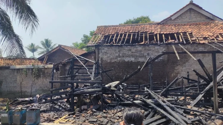 Dampak Lalai Membakar Jerami Kandang Domba Terbakar