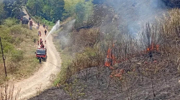 Diduga Dipicu Puntung Rokok, Lahan Alang-Alang di Cireundeu Cimahi Terbakar