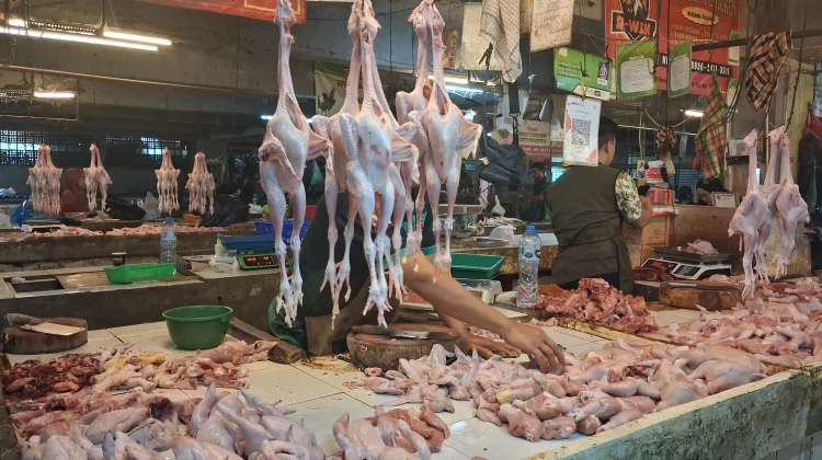 Harga Daging Ayam Tembus 40 Ribu, Pemkot Bandung Telusuri Rantai Pasok