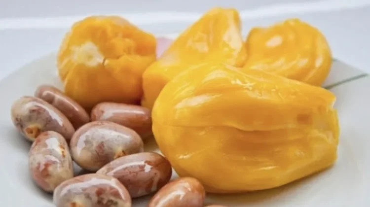Biji Nangka ternyata Mengandung Banyak Nutrisi Penting untuk Kesehatan Tubuh