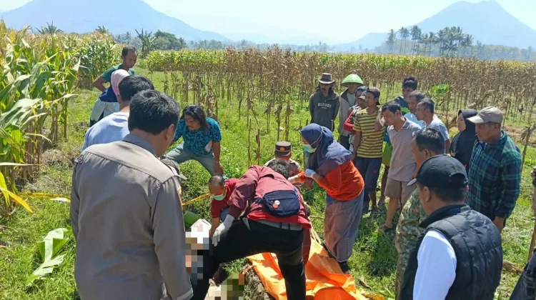 Warga Leles Dikagetkan Penemuan Mayat Perempuan di Kebun Jagung