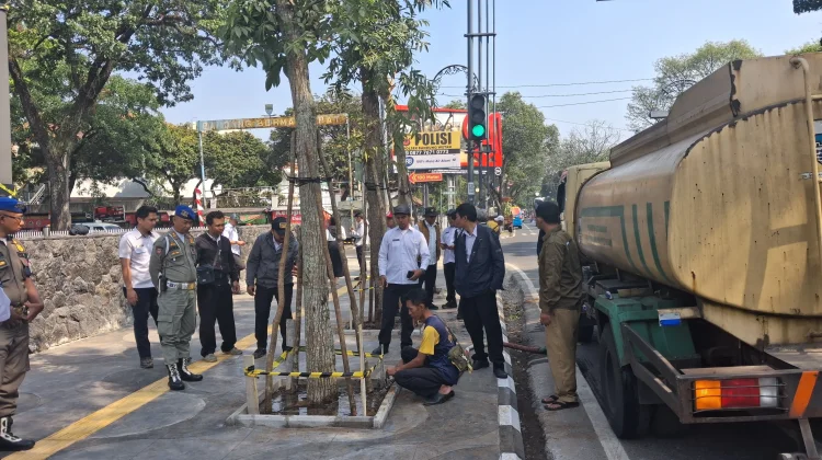 DPKP Bandung Tanam 10 Pohon Mahoni di Jalan R.E. Martadinata