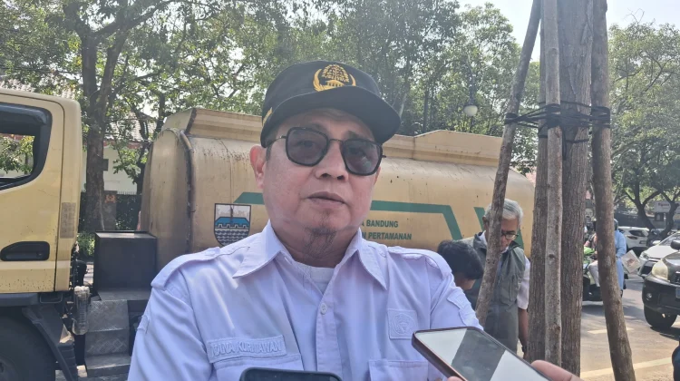 DPKP Bandung Perketat Pengawasan Pohon untuk Cegah Penebangan Ilegal