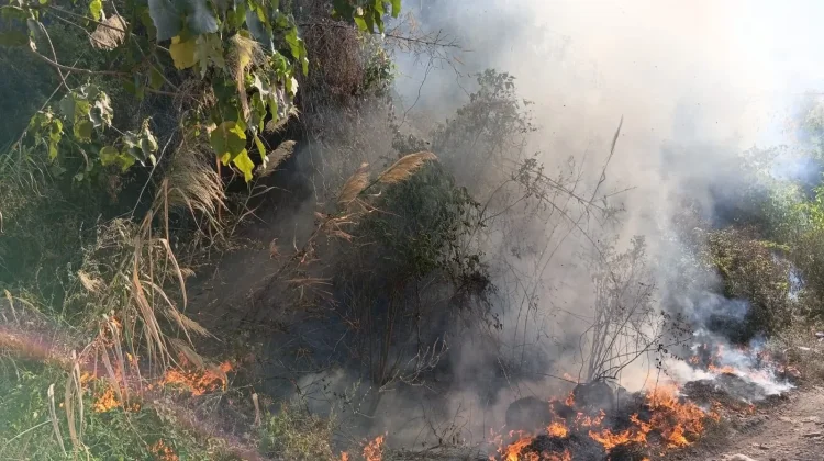 Enam Titik Lokasi Hutan di Rancabango Garut Terbakar