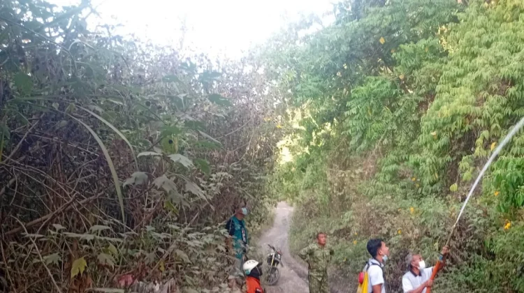 Kebakaran Hutan dan Lahan di Garut Naik 1700 Persen