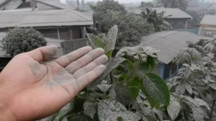 Jangan Merasa Kuat! Lindungi Diri Paparan Abu Vulkanik