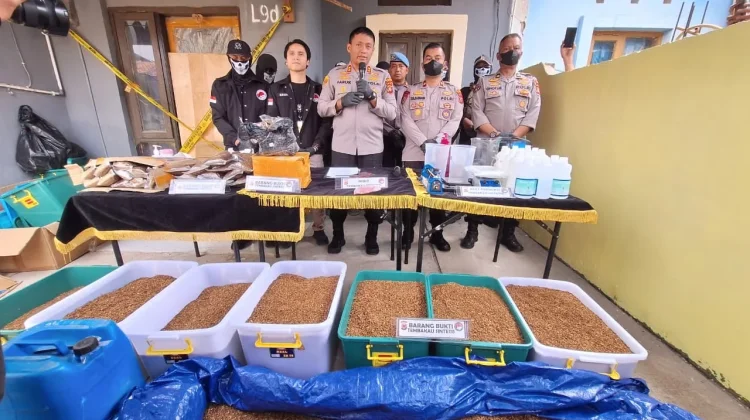 150 Kg Tembakau Sintetis Diamankan, Polres Cimahi Klaim Selamatkan 627 Ribu Jiwa