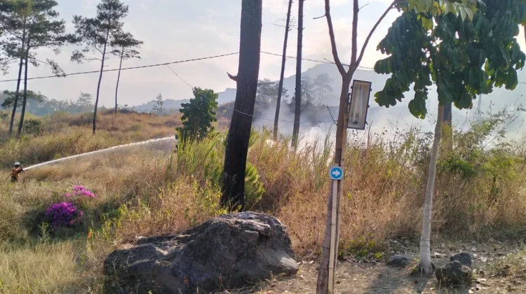 Kebakaran di Kaki Gunung Guntur Mendekati Pemukiman Warga