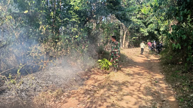 Lahan Ilalang di Kecamatan Dawuan Subang Terbakar