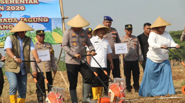 Dukung Swasembada Pangan, Polres Subang Tanam Jagung di Pagaden