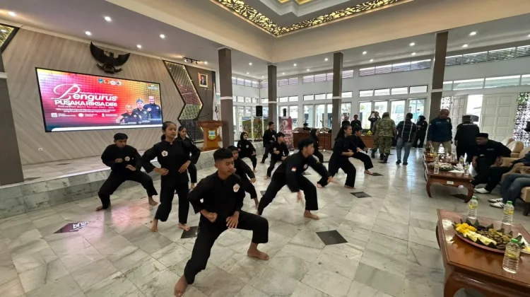 Pengembangan Olahraga Pencak Silat, Perlu Dukungan Kuat Paguron