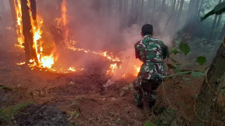 Dua Bulan Terakhir, Delapan Kejadian Karhutla di Wilayah Koramil 0503/Kalijati