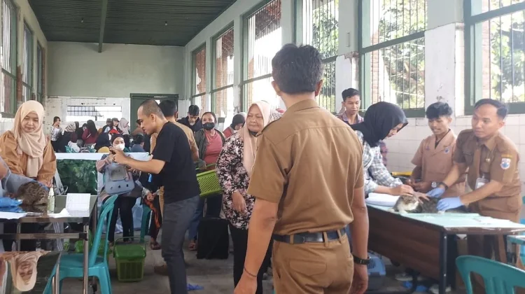 Vaksinasi Rabies Gratis di Cimahi Lampaui Target, 121 Hewan Dilayani