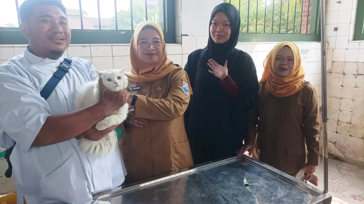 Hari Rabies Sedunia 2026, Cimahi Gratiskan Kebiri 50 Kucing Jantan