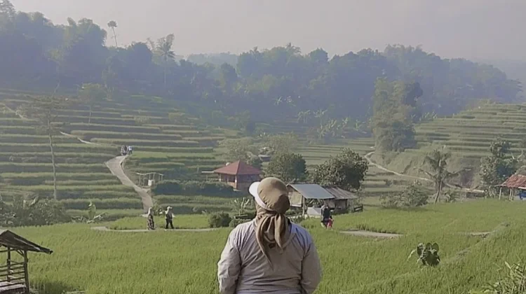 Indahnya Berwisata ke Cisema