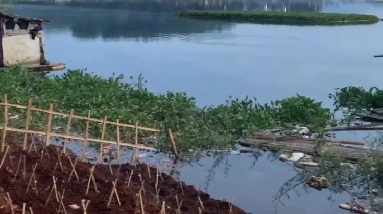 Air Waduk Cirata Menyusut Petani Ikan Merugi