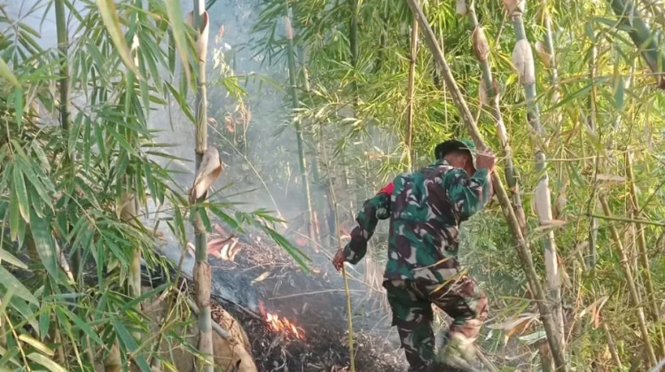 Pasca Kemarau Kebakaran Lahan dan Hutan di Garut Capai 1447 Persen