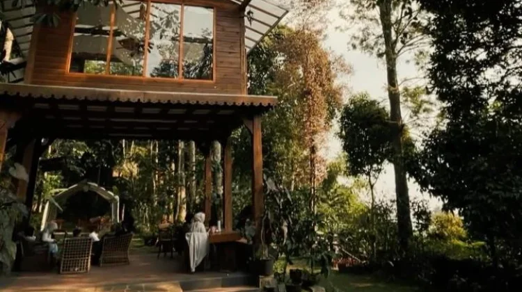 Black Bamboo, Menikmati Alam dan City Light Bandung