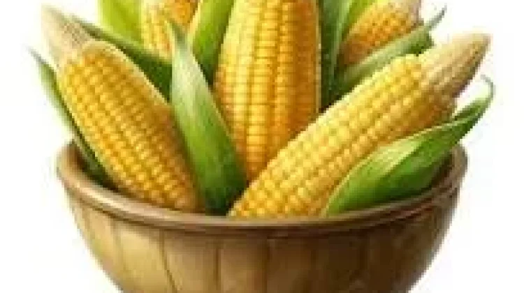 Manfaat Air Jagung Rebus untuk Kesehatan Tubuh - RRI.co.id