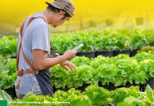 Digitalisasi Sejahterakan Petani