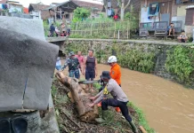 Petugas Gabungan Evakuasi Kayu Gelondongan Sumbat Arus Sungai