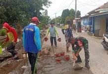 Babinsa Gotongroyong Bersama Warga  Perbaiki Tanggul Penahan ROB