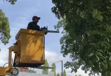 Pemkot Cimahi Pangkas Pohon Demi Optimalkan PJU dan Keselamatan Jalan