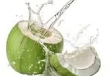 Sederet Manfaat Air Kelapa untuk Buka Puasa