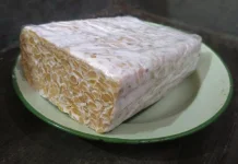 Sekilas Tentang Tempe Makanan Fermentasi dari Kedelai